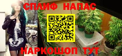 прущие грибы Бугуруслан